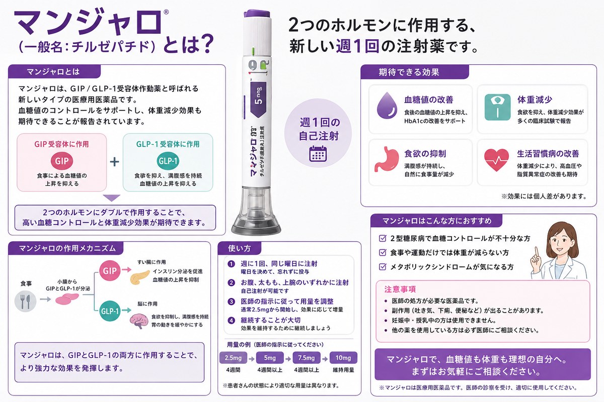 マンジャロの作用メカニズム（GIP/GLP-1のダブル作用）